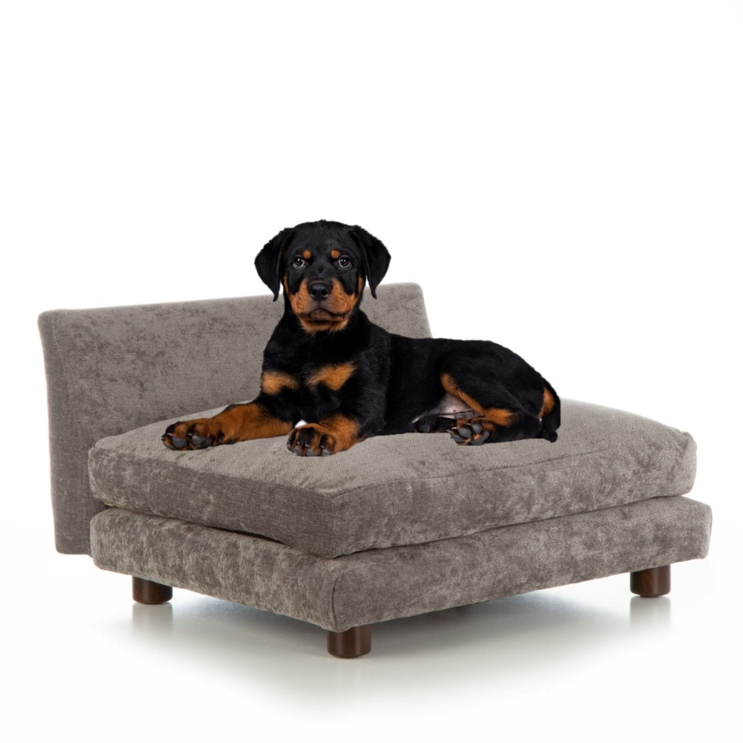 Club Nine Pets Roma Orthopedic Dog Bed， Large， Charcoal.