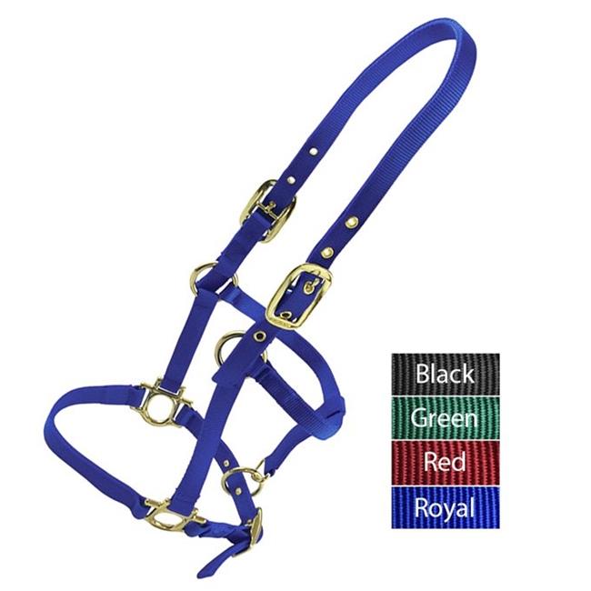 Valhoma 3364-RY Weanling Halterand#44; Royal Blue - 200-300 lbs