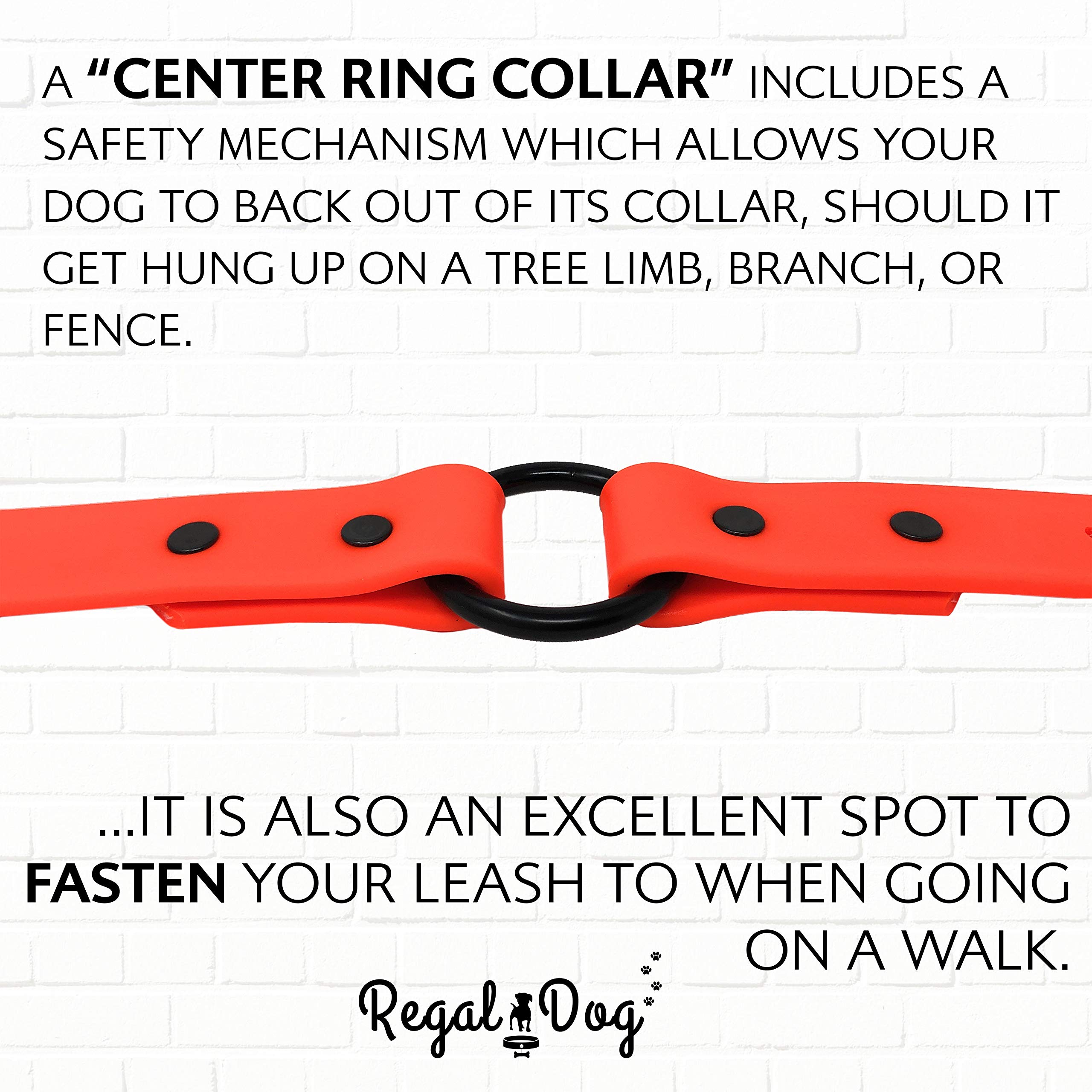 Regal Dog Products Reflective Waterproof Hunting Dog Collar with Heavy Duty Black Hardware Center Ring and Buckle
