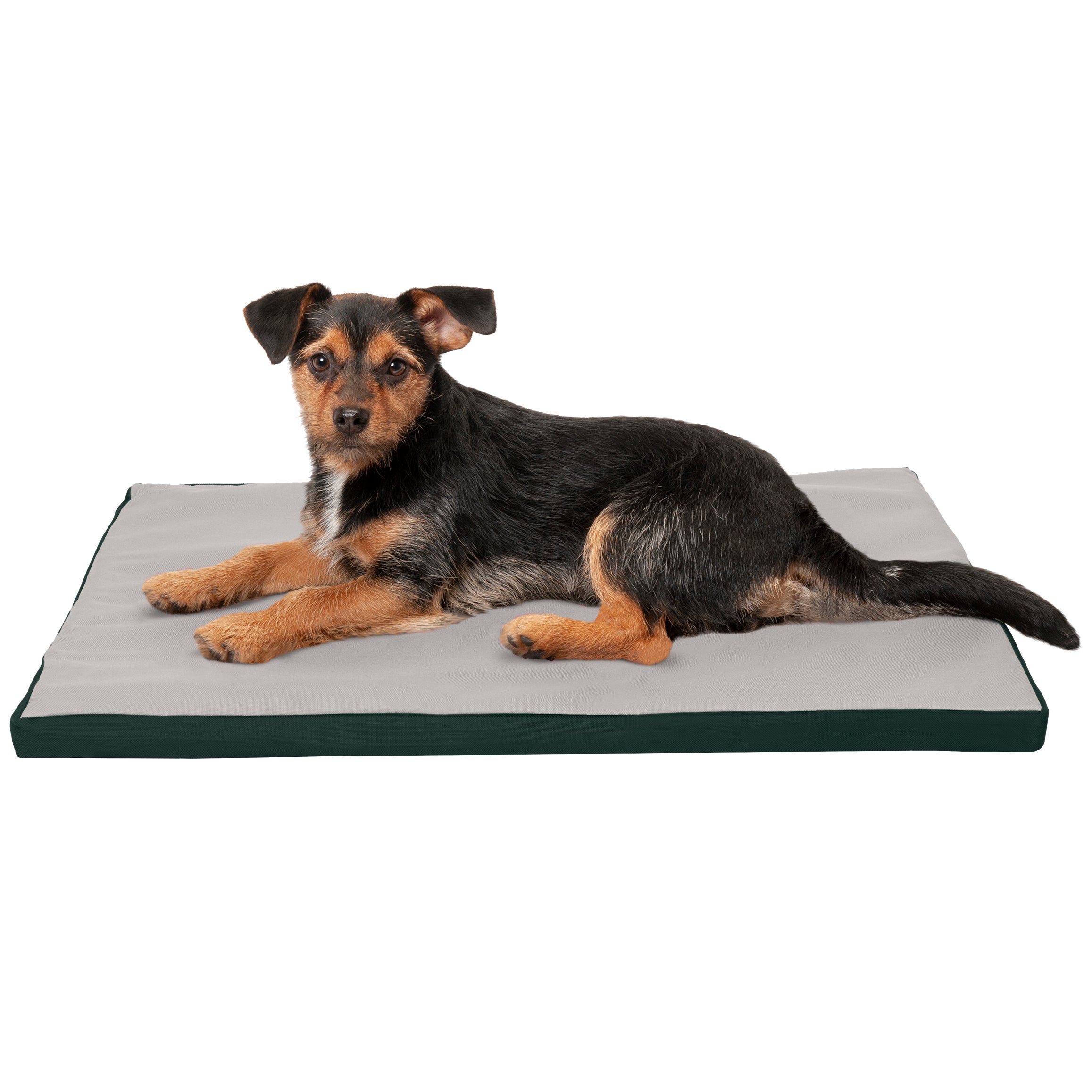 FurHaven Pet Kennel Pad | Reversible Two-Tone Water-Resistant Crate or Kennel Pad Pet Bed for Dogs and Cats， Green/Gray， Small