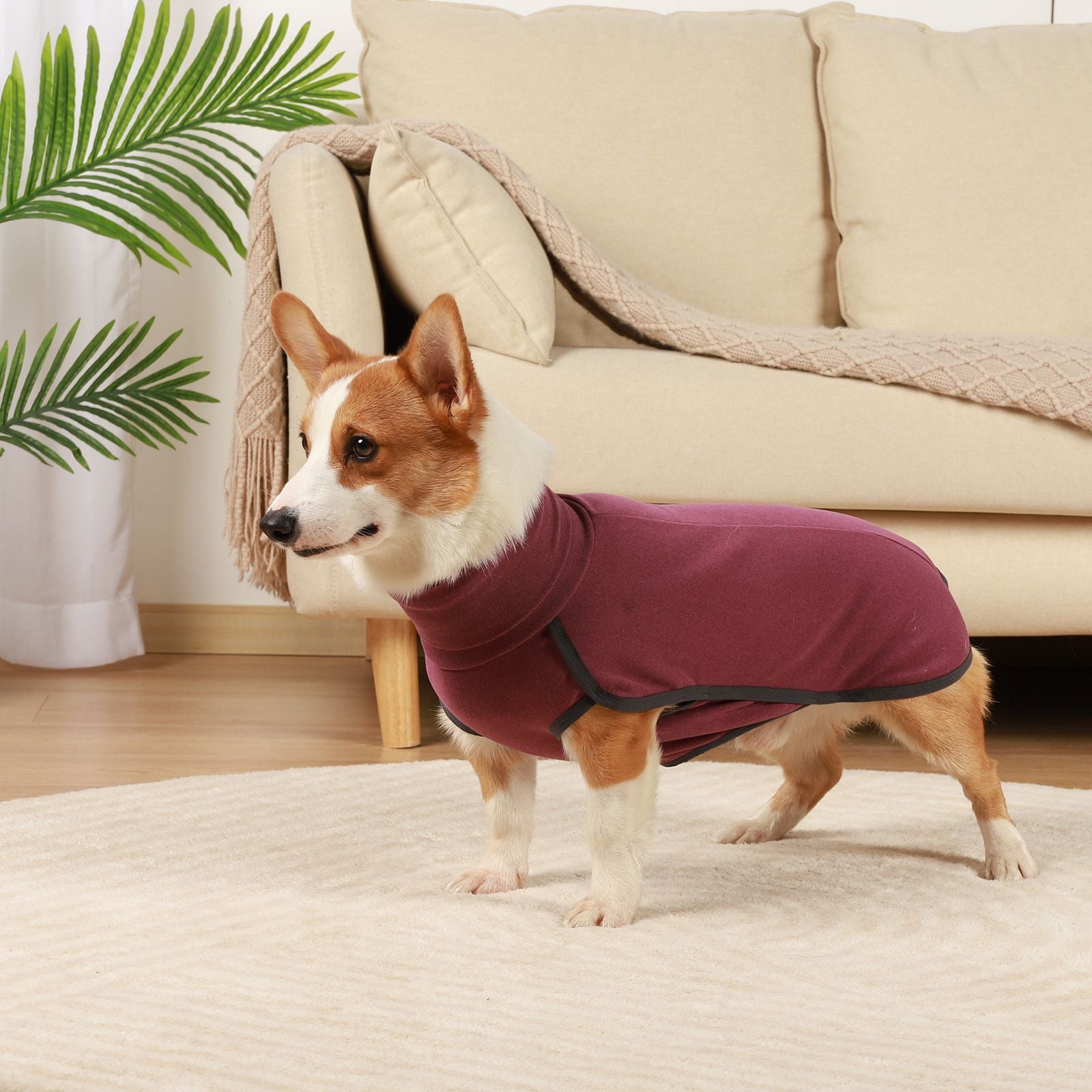 ROZKITCH Dog Fleece Vest Turtleneck Sweater Stretch Sweatshirt， Warm and Lightweight Pullover Pajama Dog Coat， Autumn Winter Cold Weather Puppy Clothes Jacket for Small Medium Large Dogs