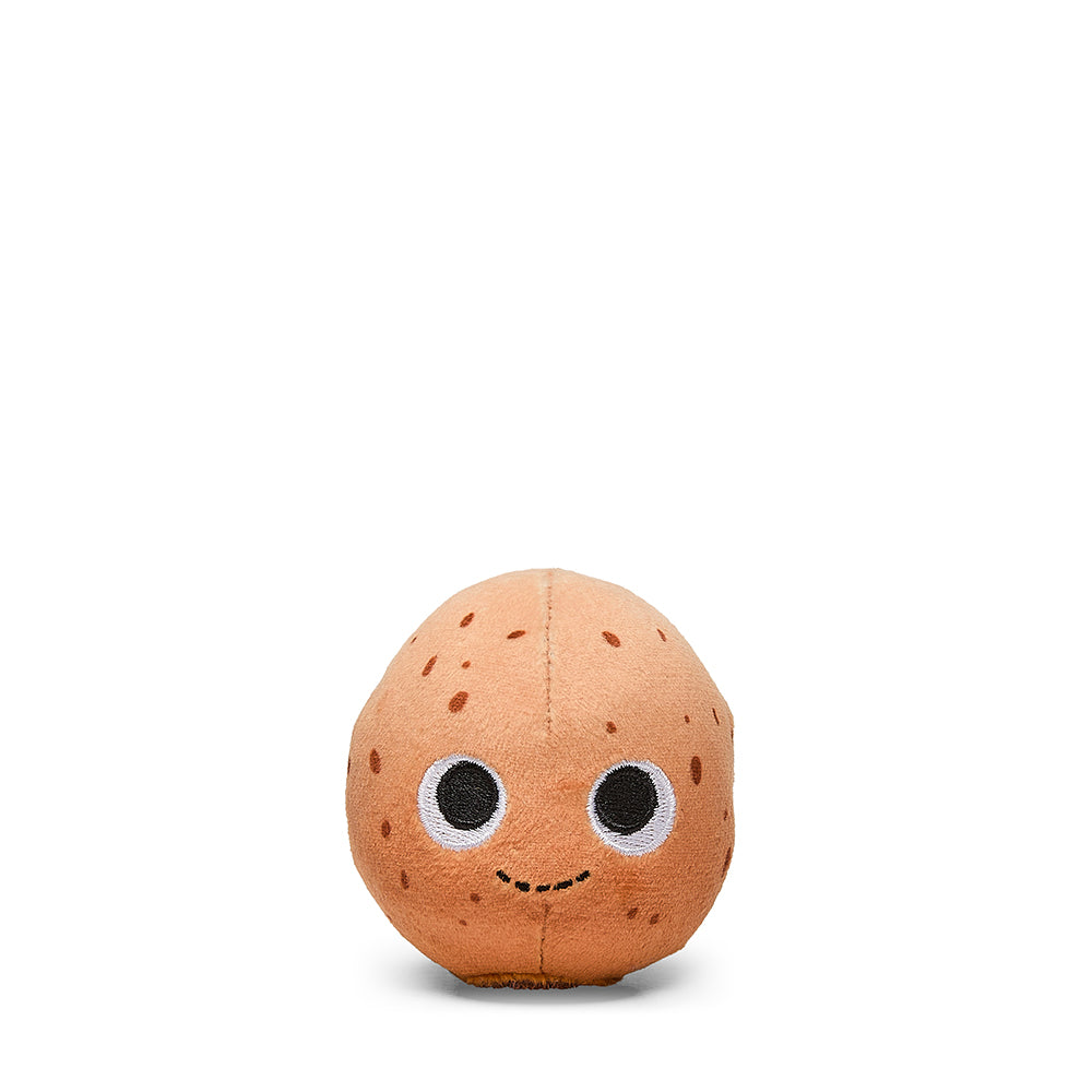 Yummy World Passover Seder Plate 13