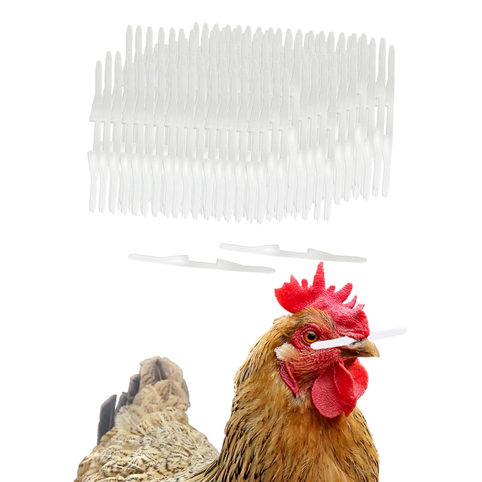 Chicken Nose Poultry Supplies Equipments Poultry Feeder Poultry Management Hen feed Striking Stick 1000pcs for Poultry Farming