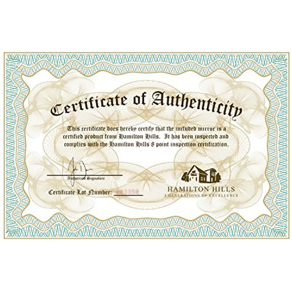 Framed Wall Mirror - 30 x 40 Inches Contemporary Large Rectangle Mirror with Floating Glass Panel and Wenge Wood-Look Frame