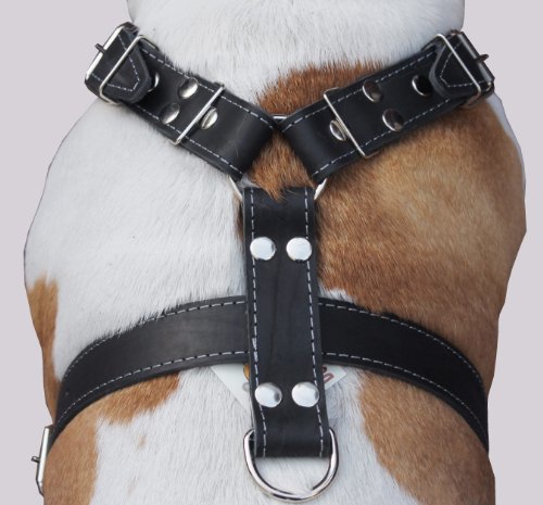 Black Genuine Leather Dog Harness， Large to XLarge. 35