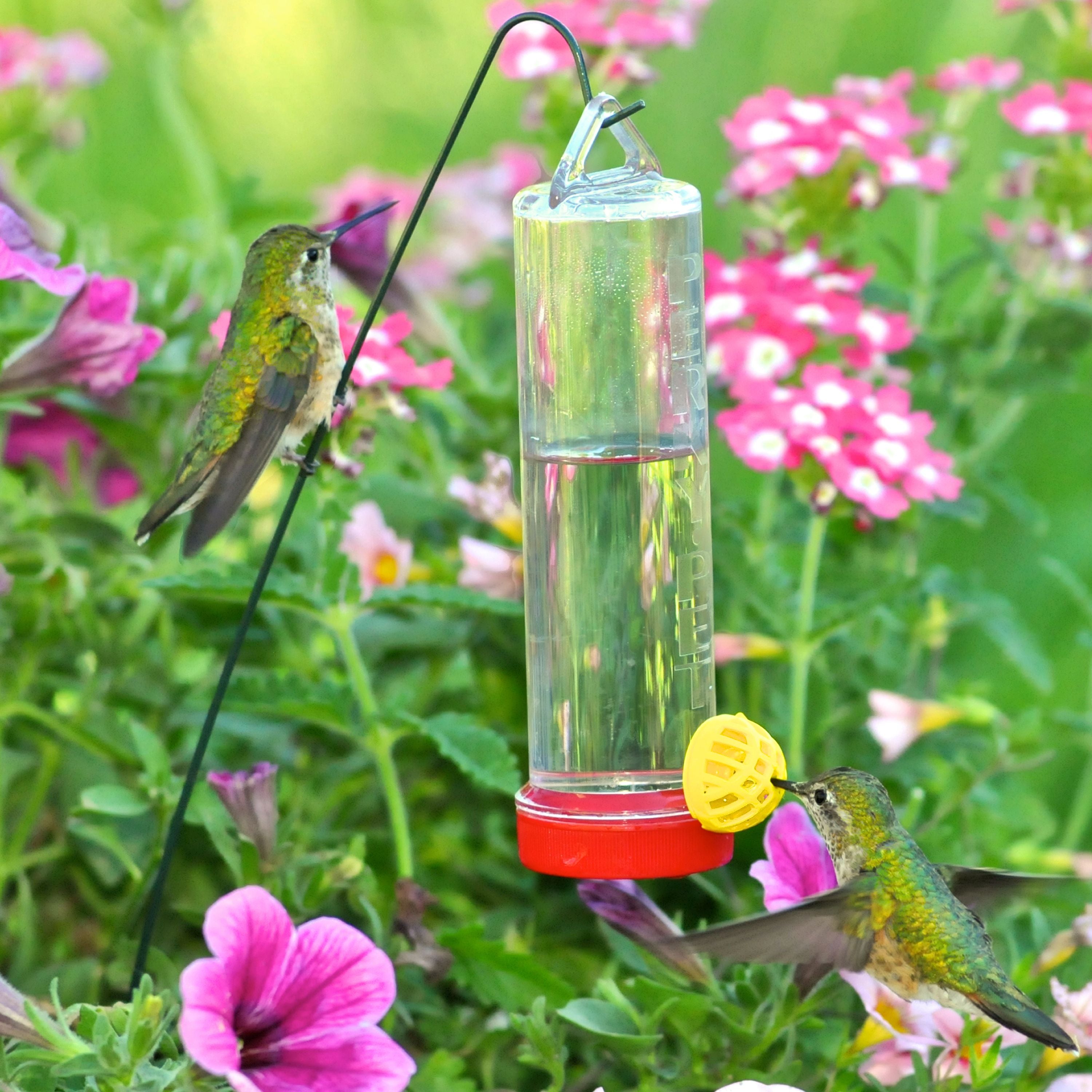 Perky-Pet Planter Box 3 oz Plastic Hummingbird Feeder with Hanging Rod