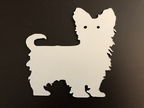 DCentral Yorkshire Terrier 