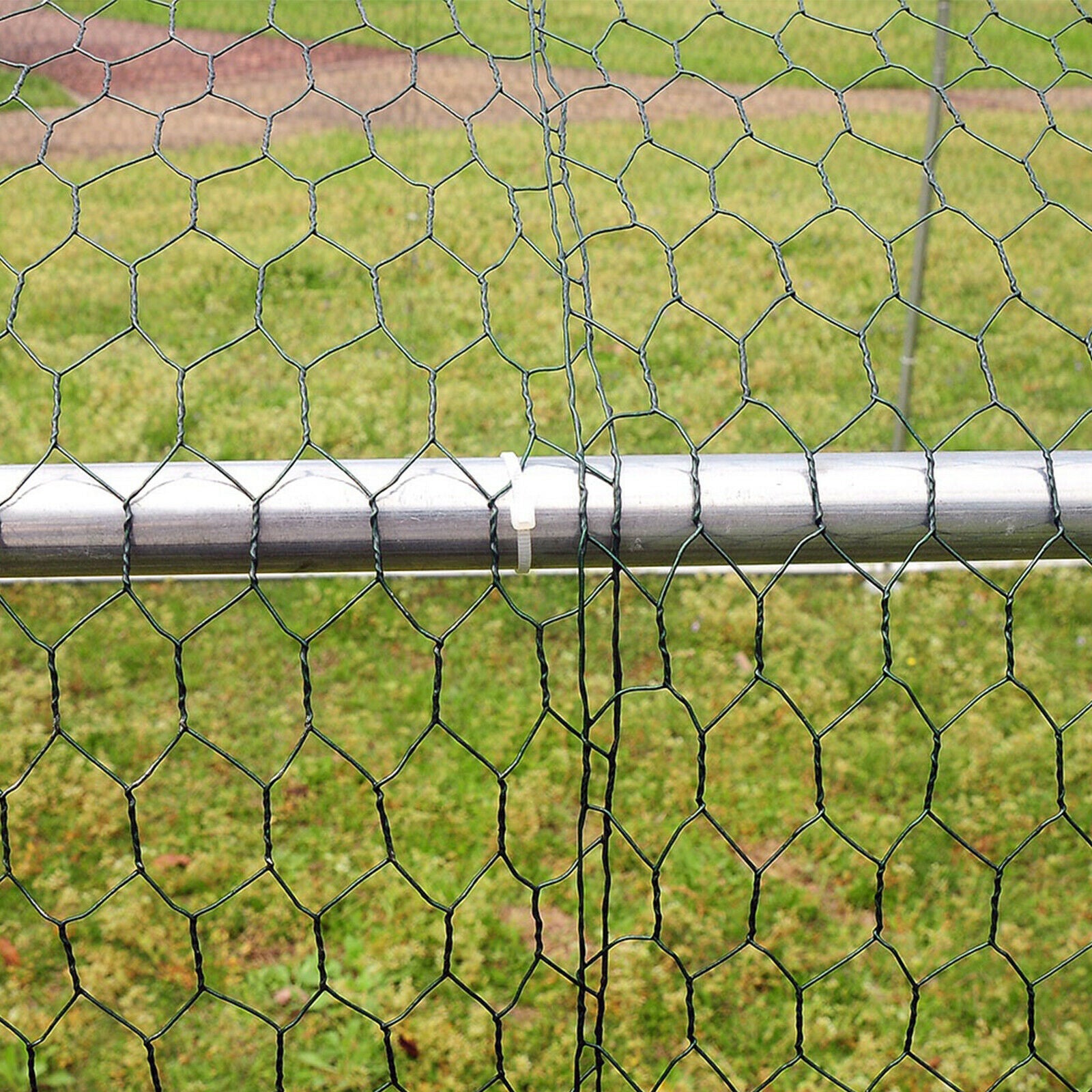 Large Walk in Chicken Run Coop Hen House Enclosure Backyard Poultry Cage Cover 10' x 10'