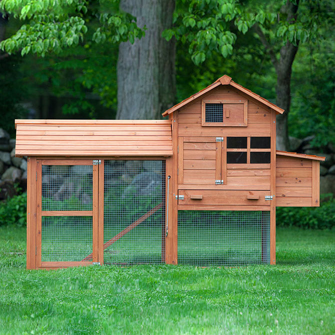 All in one chicken coop with hardware cloth floor-The Clubhouse for up to 4 chickens