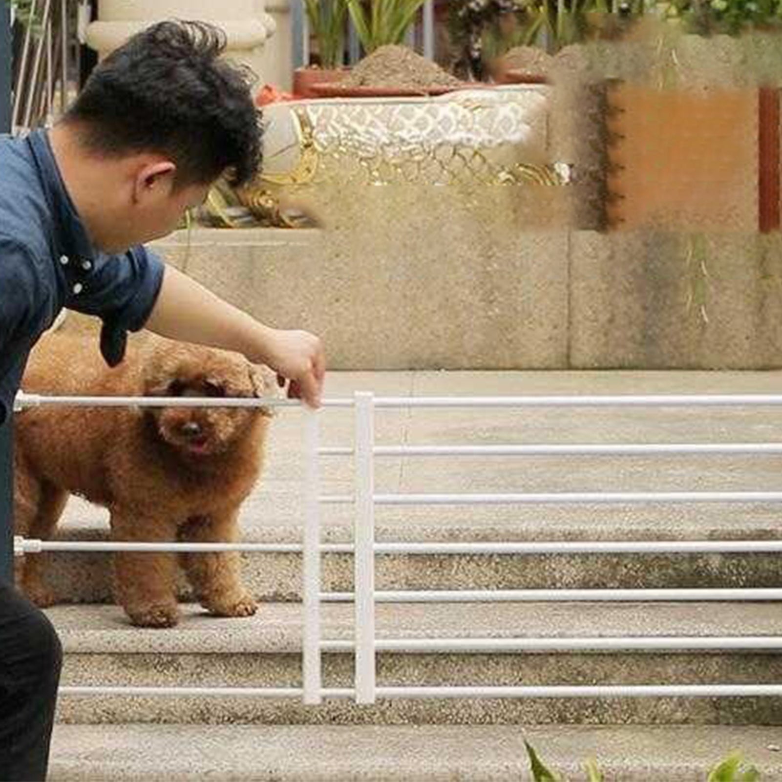 Metal Pet Gates - 22-39.37 Inch Extra Wide Pressure Mounted Dog Gate for Stairs Doorways - Pet Gate with Door Walk Through Easy Step NO Need Tools NO Drilling， Adjust Size (Black)