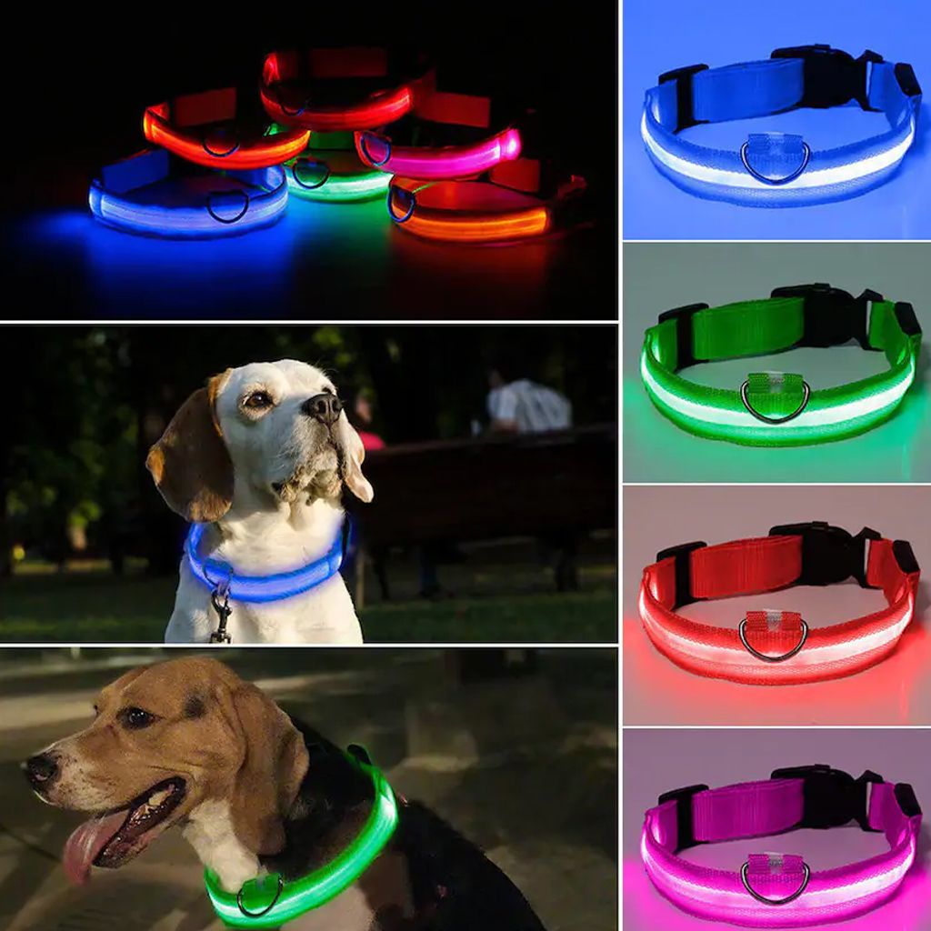 BadPiggies LED Dog Collar Pet Collar Rechargeable USB Reflective Adjustable Safety Flashing Luminous Leashes Light Up Night For Small Medium Large Dogs