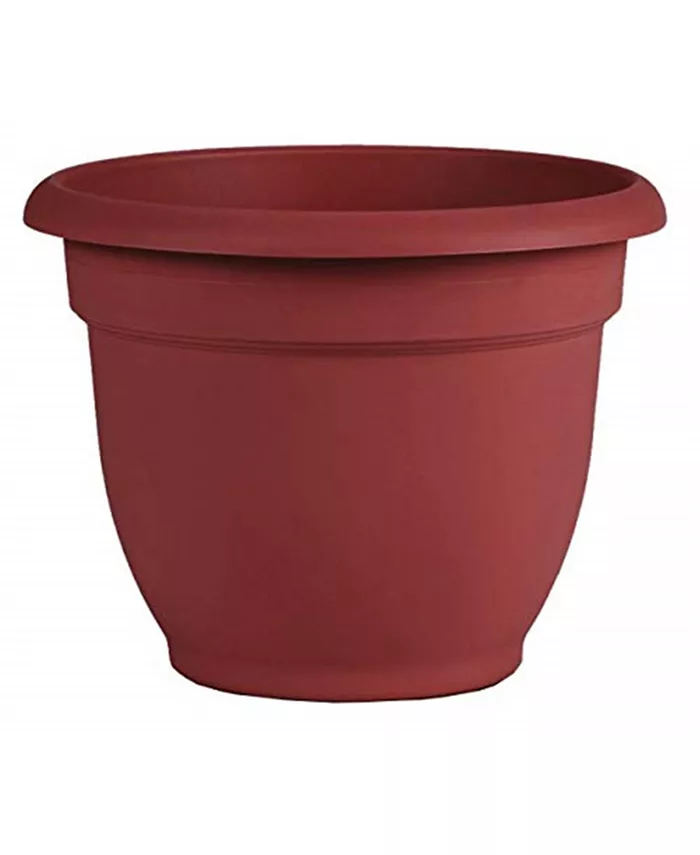 Bloem AP0613 Ariana Planter with Self-Watering Disk， Burnt Red - 6 inches