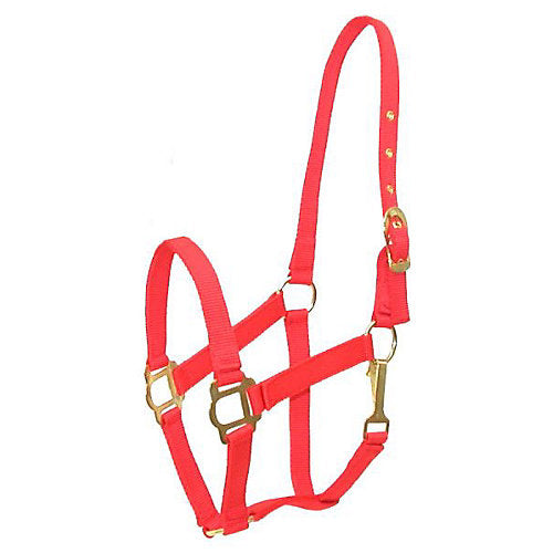Gatsby Classic Nylon Halter/Snap Horse Red