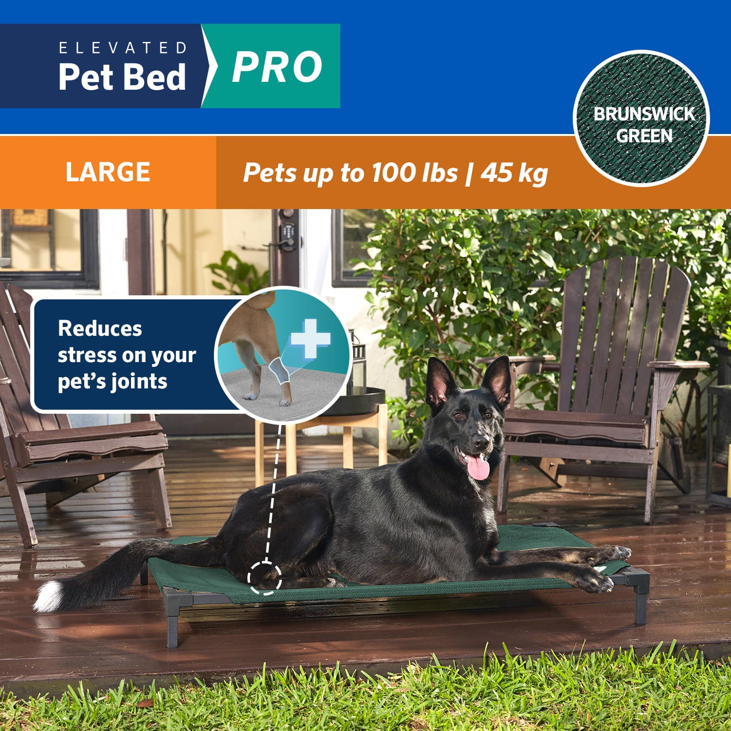 Coolaroo Cooling Elevated Dog Bed Pro， Large， Fits in 48in Crates， Brunswick Green