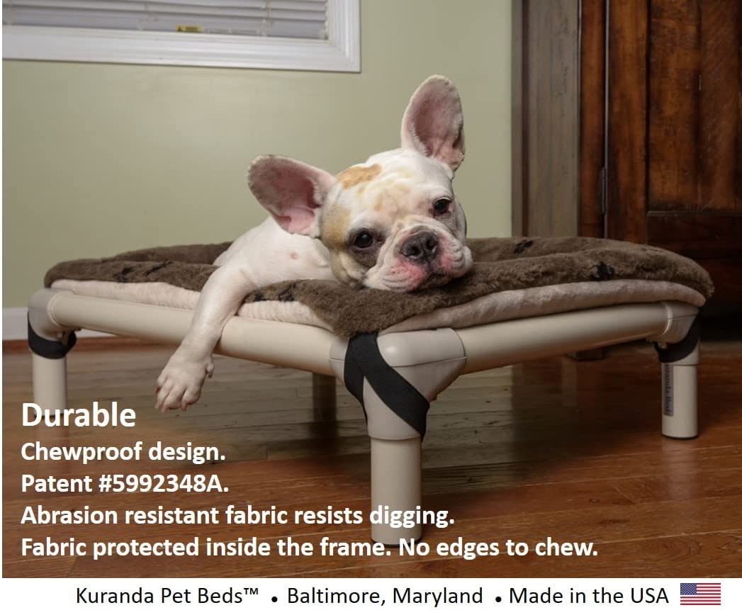Kuranda Orthopedic Chewproof Elevated Dog Bed - Outdoor - Almond PVC Frame