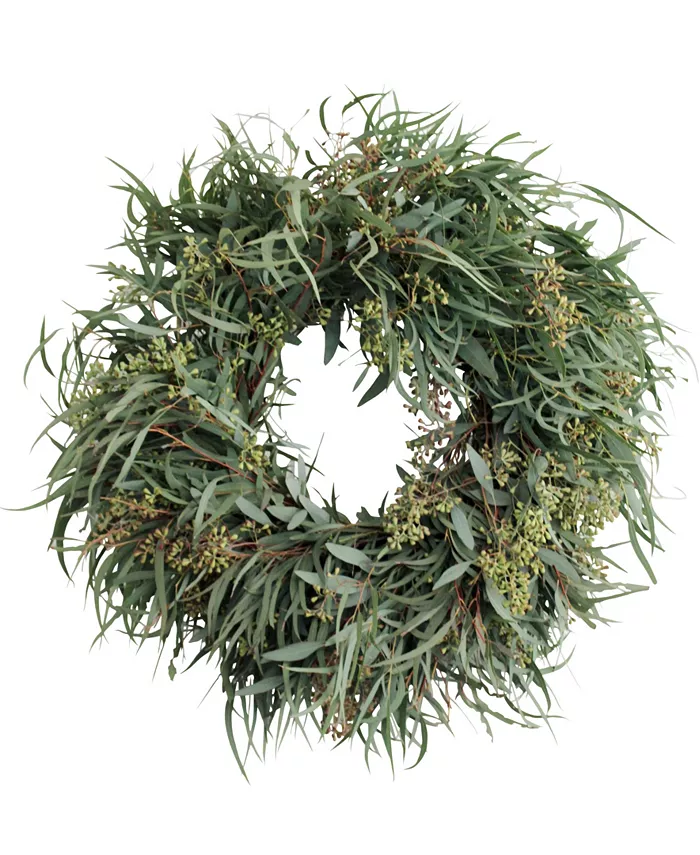 Magnolia Supply Co Fresh Willow and Seeded Eucalyptus Wreath， 20
