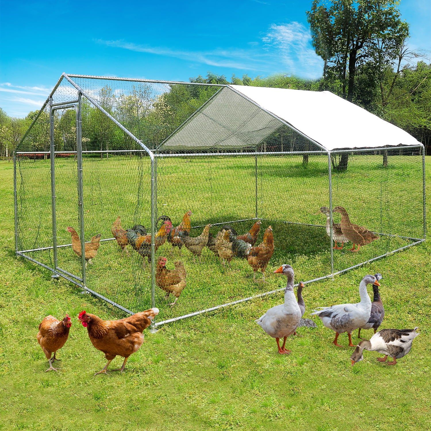 10x10ft Walk in Large Metal Chicken Coop Run Backyard Hen House Poultry Rabbit Cage