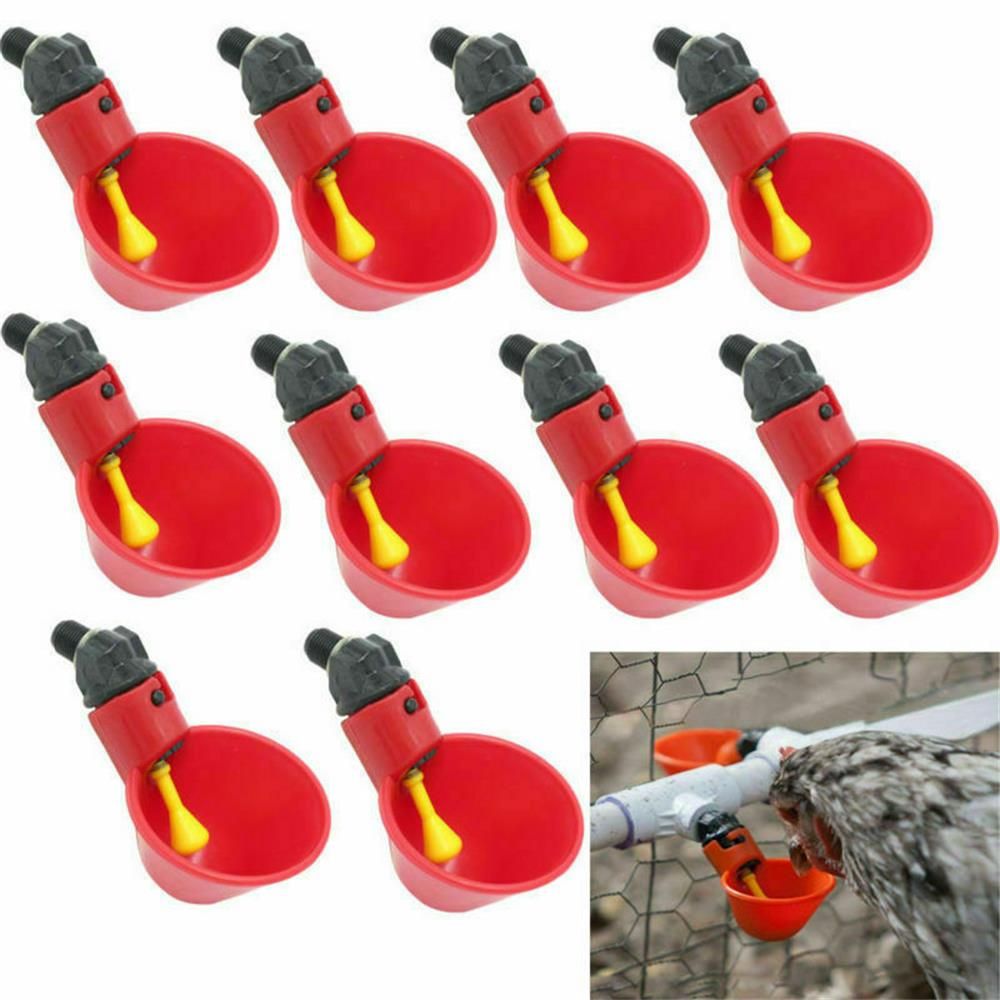 10/20 Pcs Hot new Quail Bird Chicken Coop Feed Fowl Bowl Poultry Water Drinking Cups Plastic Chicken Hen Plastic Automatic Drinker 10 PCS