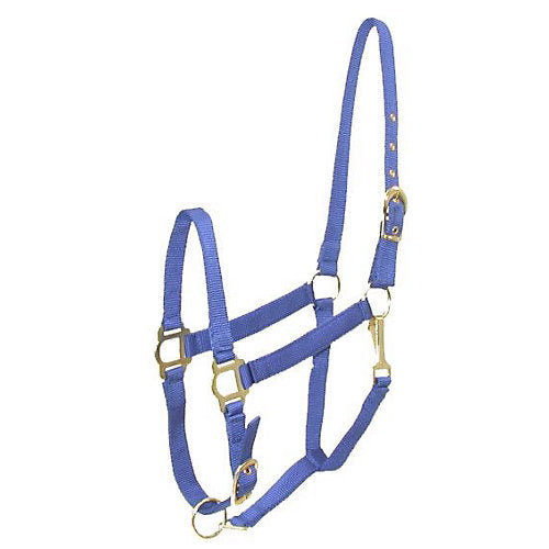 Gatsby Adj Nylon Halter/Snap Cob Royal