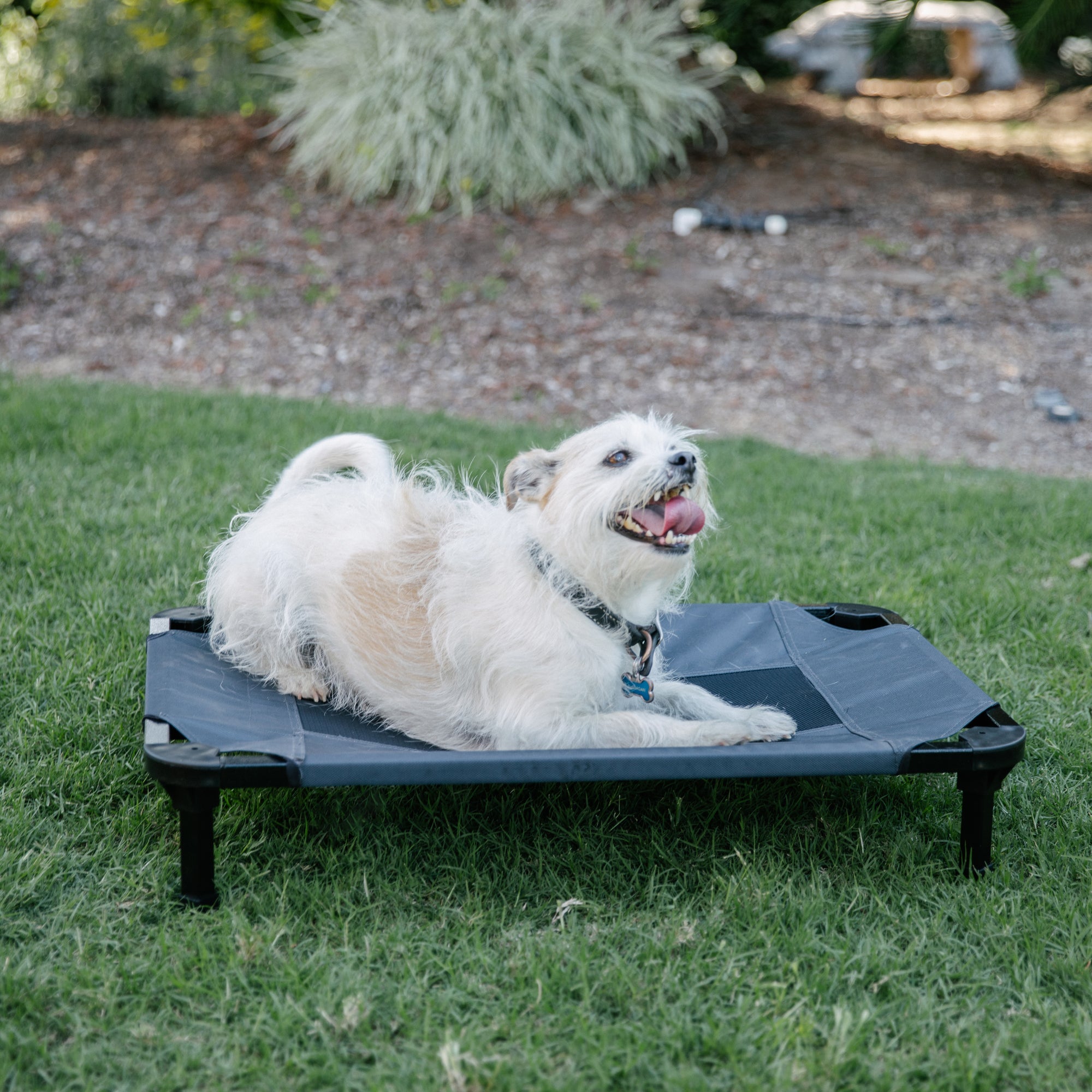 Lucky Dog 30'' Elevated Pet Bed Comfort Cot - Gray