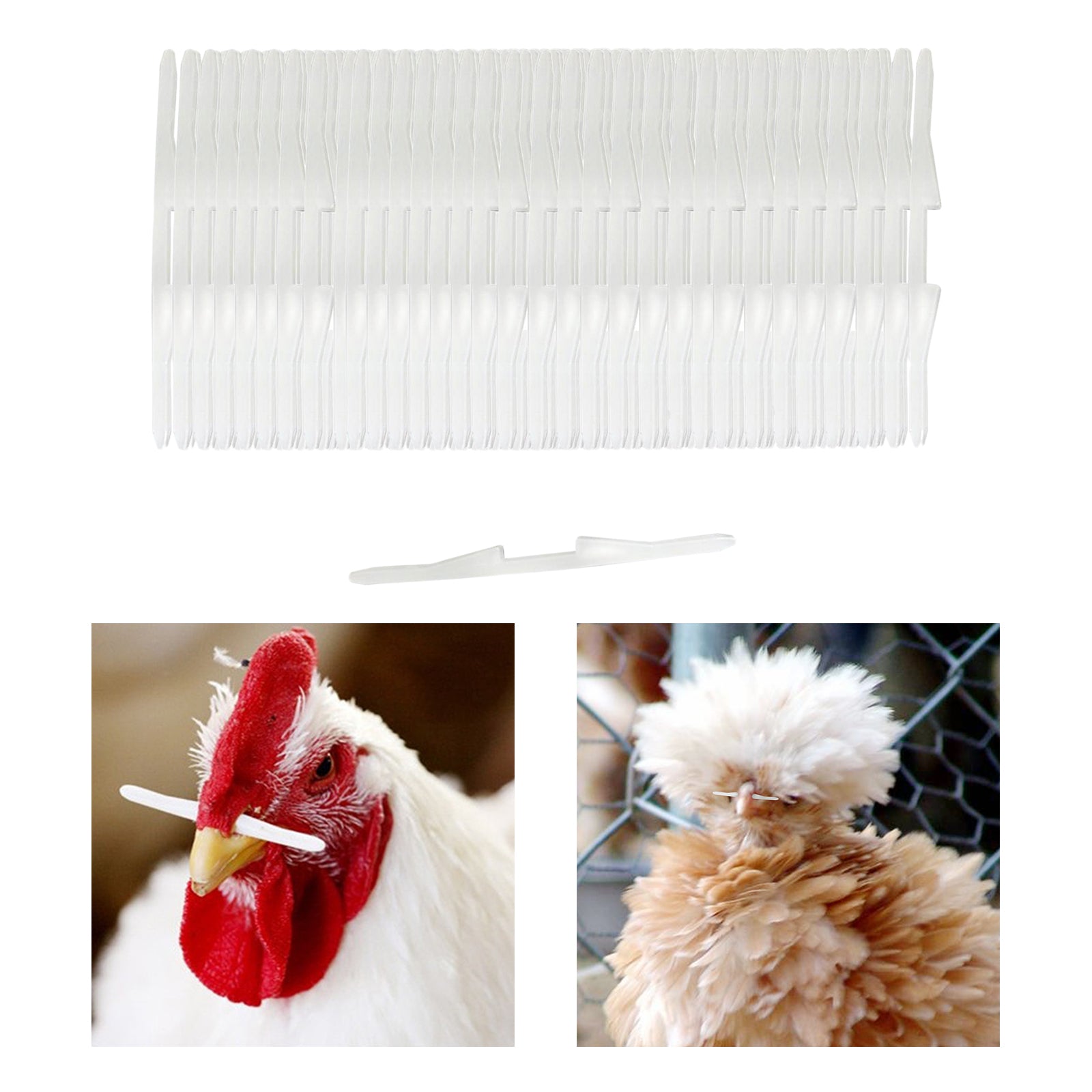 Chicken Nose Poultry Supplies Equipments Poultry Feeder Poultry Management Hen feed Striking Stick 1000pcs for Poultry Farming