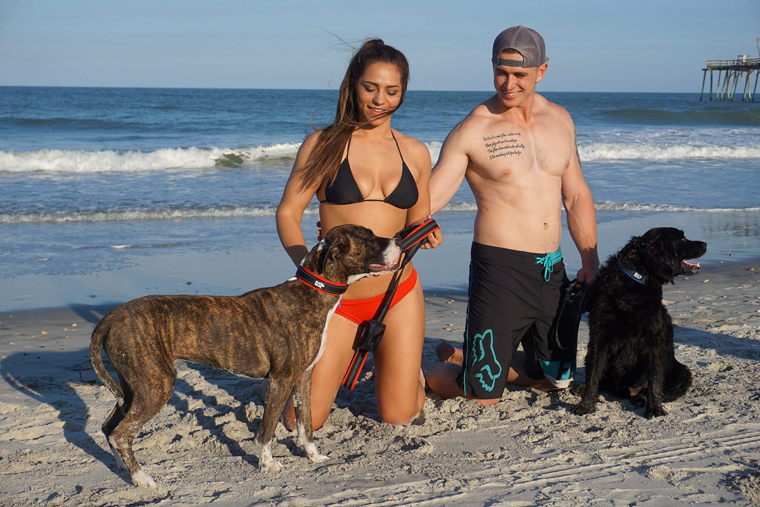 BLACK RHINO Comfort Dog Collar Ultra Soft Neoprene (Small， Red/Black)