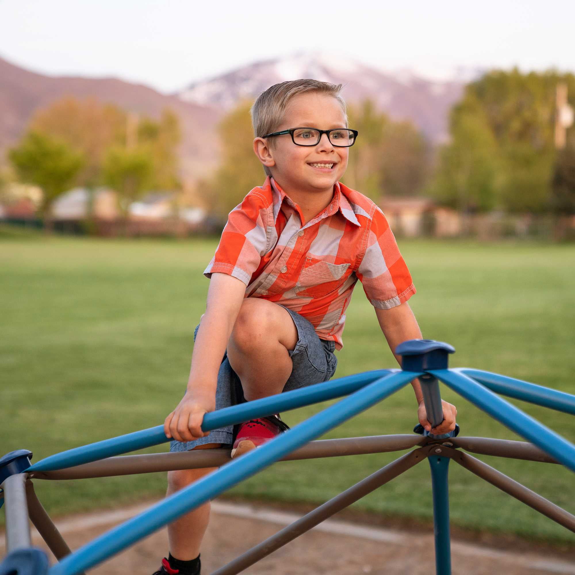 Lifetime Kid's 54 inch Dome Climber， Blue and Brown (91012)