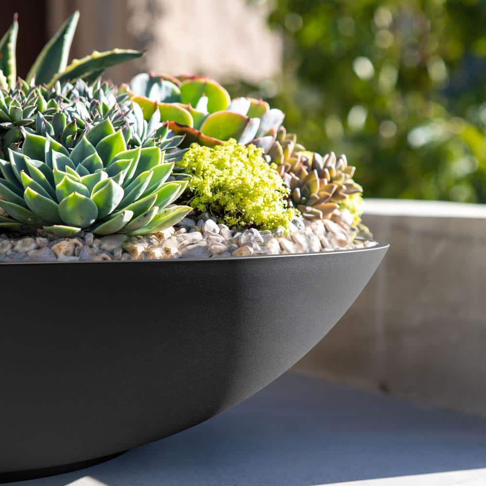 Veradek Lane Bowl 24 in. Black Plastic Round Planter LBV24B