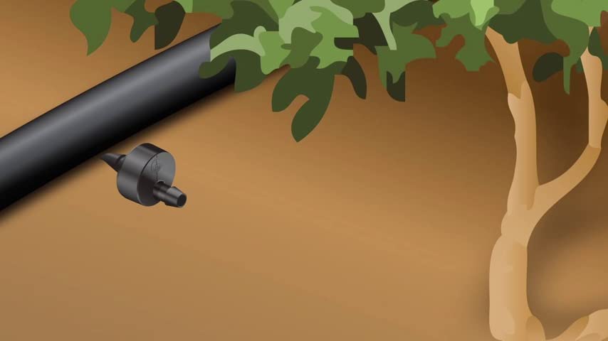 Rain Bird EFTFHT-1S Drip Irrigation Easy Fit Tee Adapter， 3/4