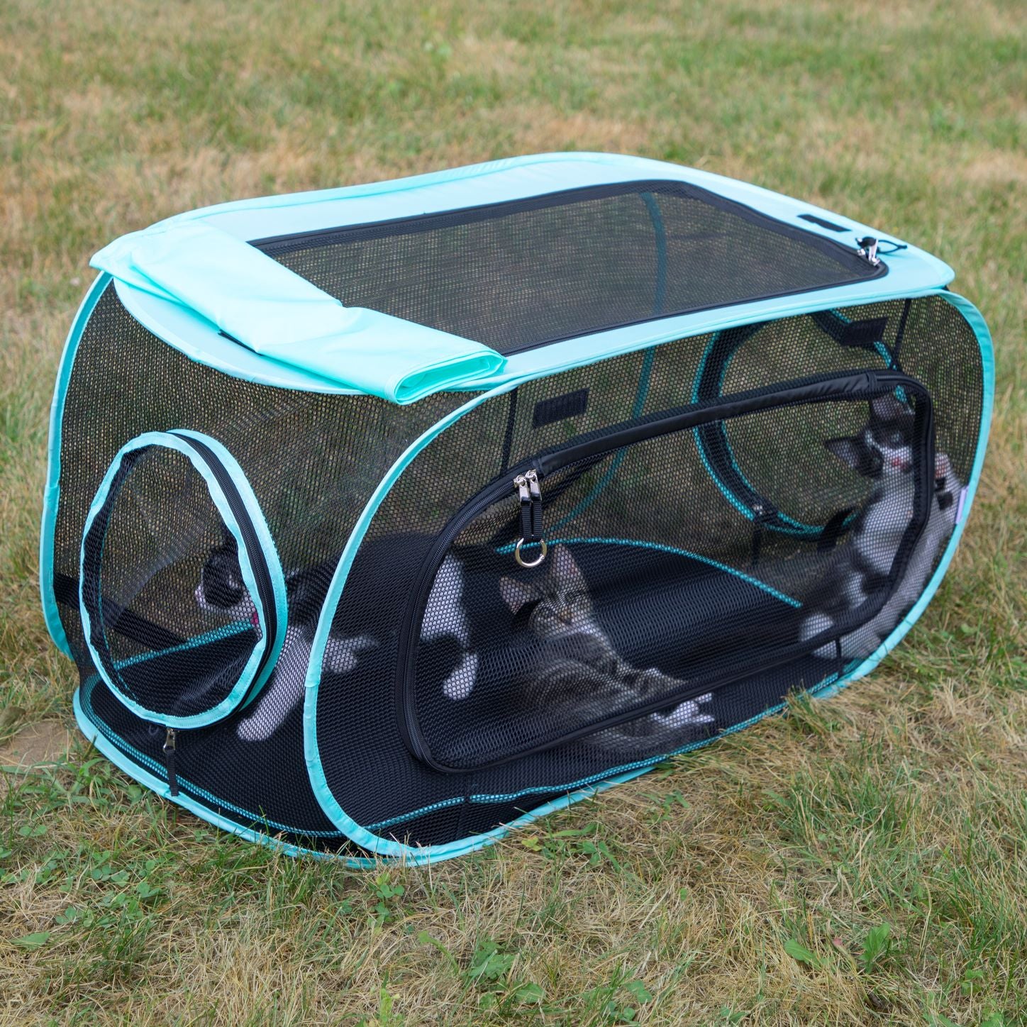 Kitty City Outdoor Play Kennel， Cat， Small Animal