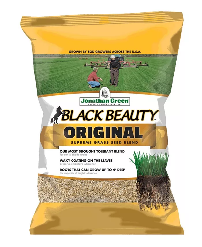 Jonathan Green (#10315) Black Beauty Original Grass Seed， 25 lb bag