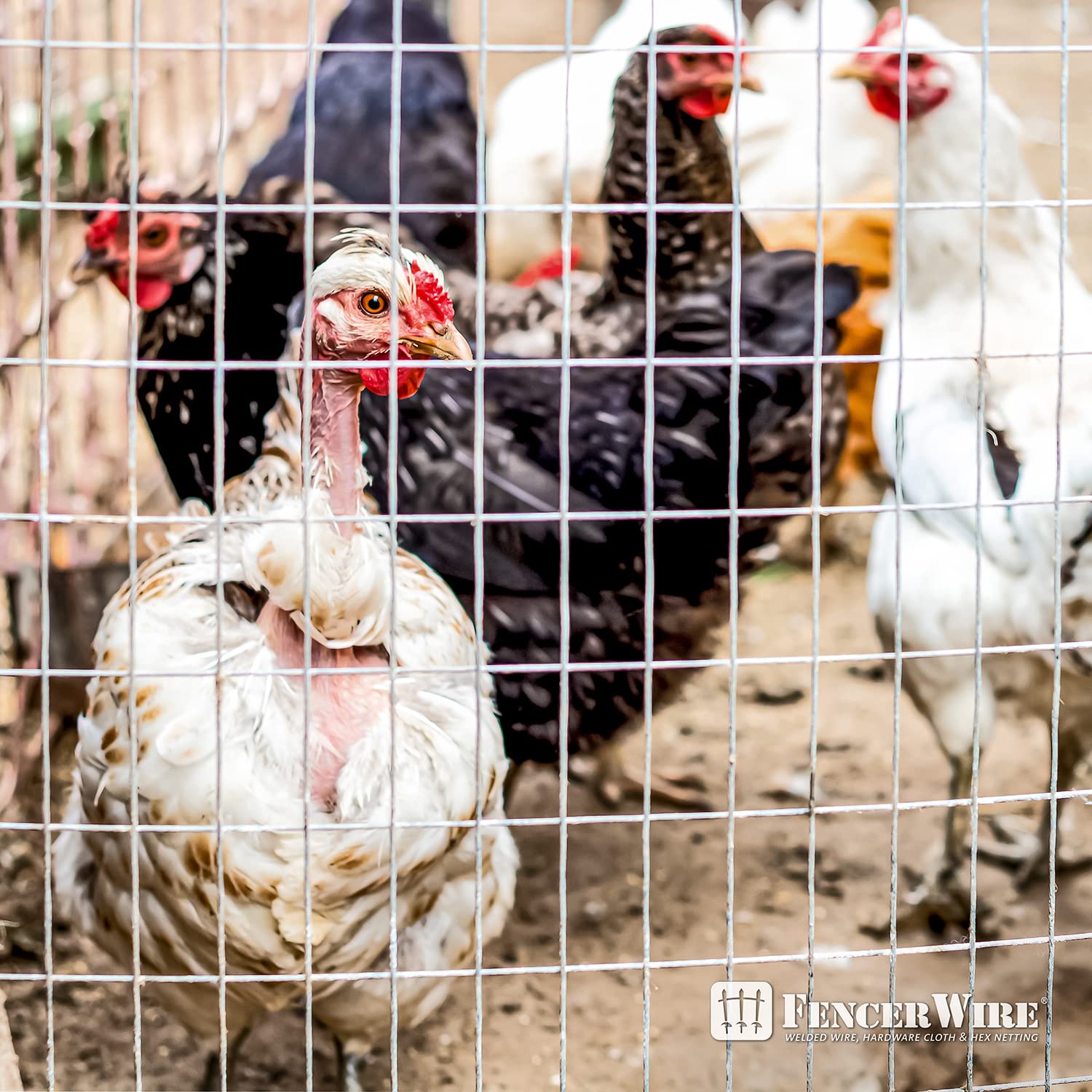 Fencer Wire 14 Gauge Galvanized Welded Wire Fence, 2" x 4" Mesh Opening for Vegetables, Garden Fruits & Animals Enclosure