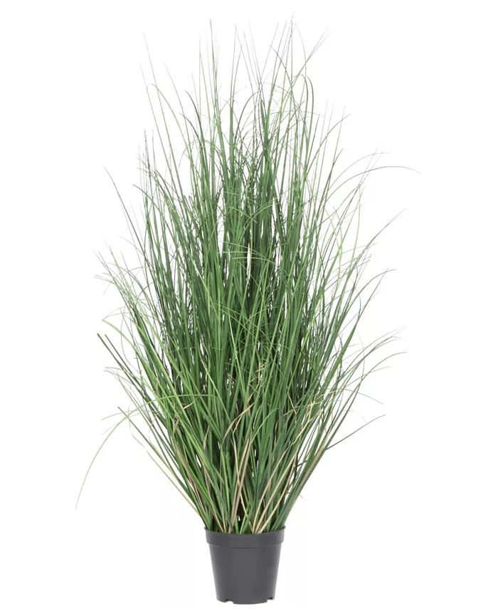 Vickerman 36