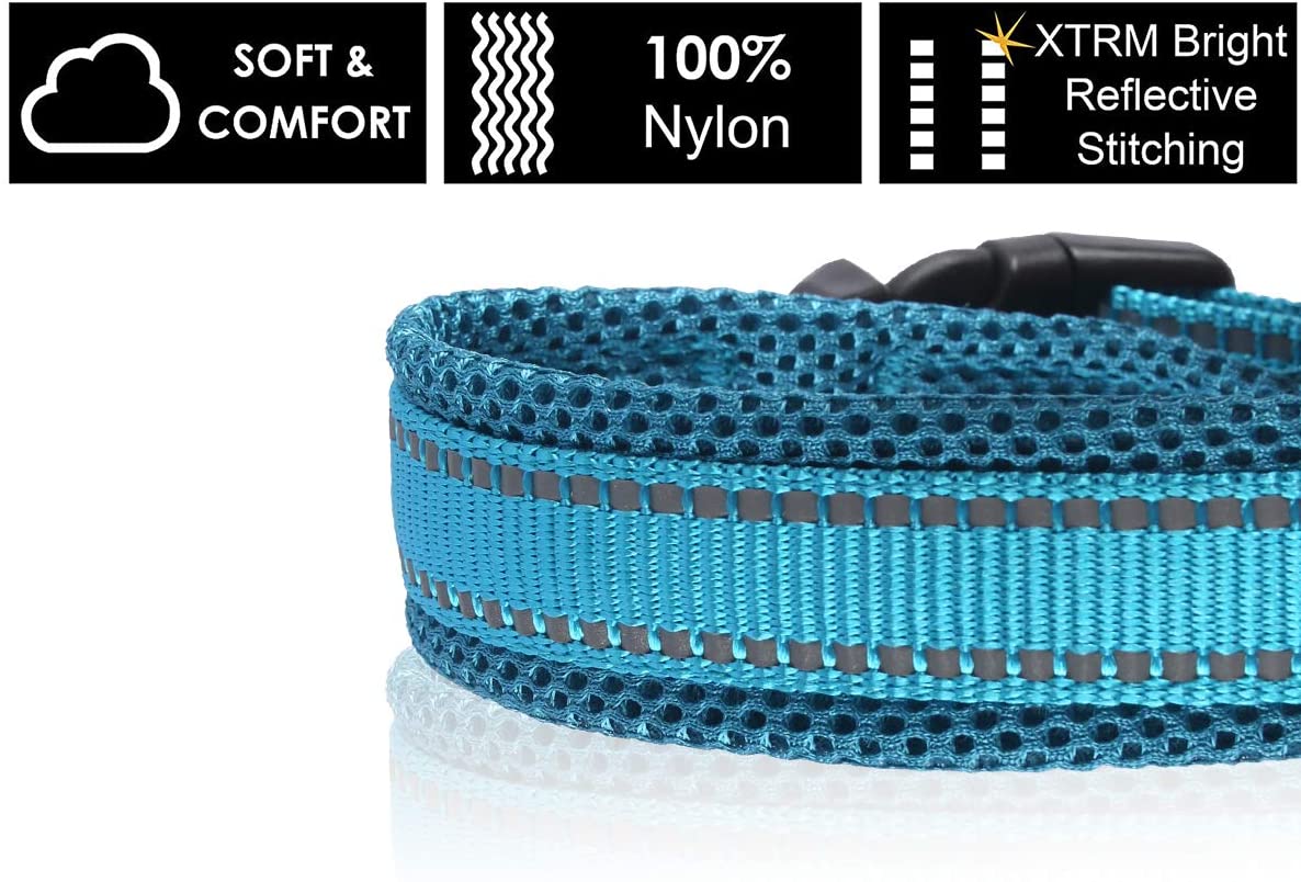 Reflective Adjustable Dog Collar Nylon Pet Collar for Small Dogs 11''-16''