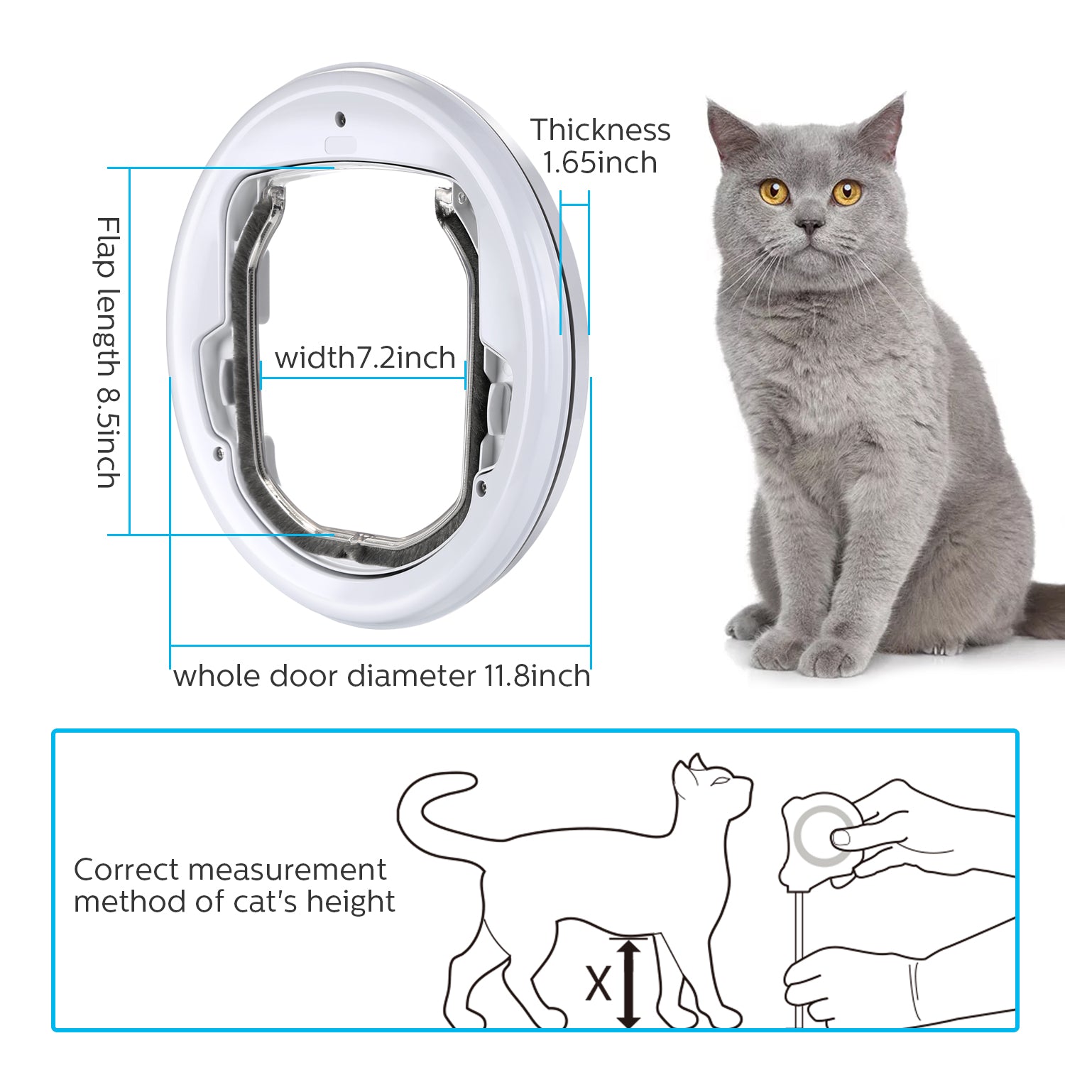 Ownpets Pet Cat Door， White PVC Plastic Small Dog Lockable Flap Lightweight Gate for Glasses Wooden Mount