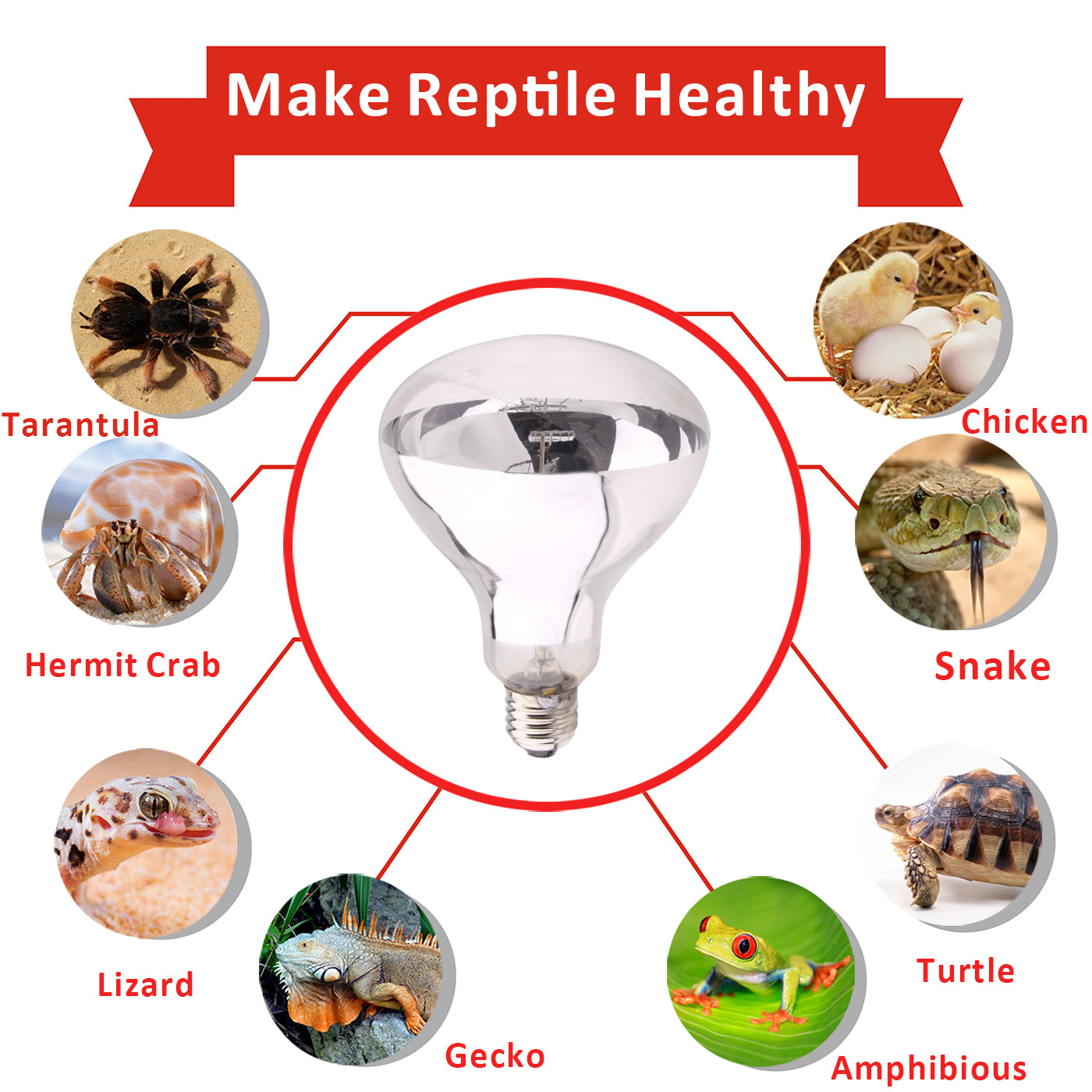 AIICIOO Reptile Heating Lamp UVA UVB Mercury Vapor Bulb Aquarium Bulb for Reptiles and Amphibians 100W