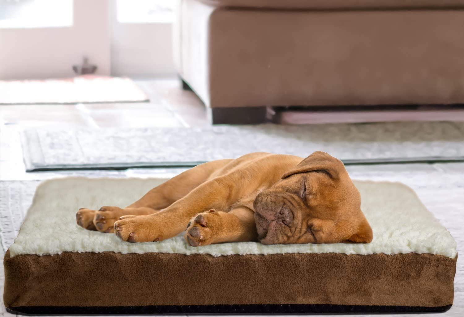 Paws and Pals Orthopedic Pet Bed Foam-Mattress Dogs and Cats (Medium 30 Long x 20 Wide)