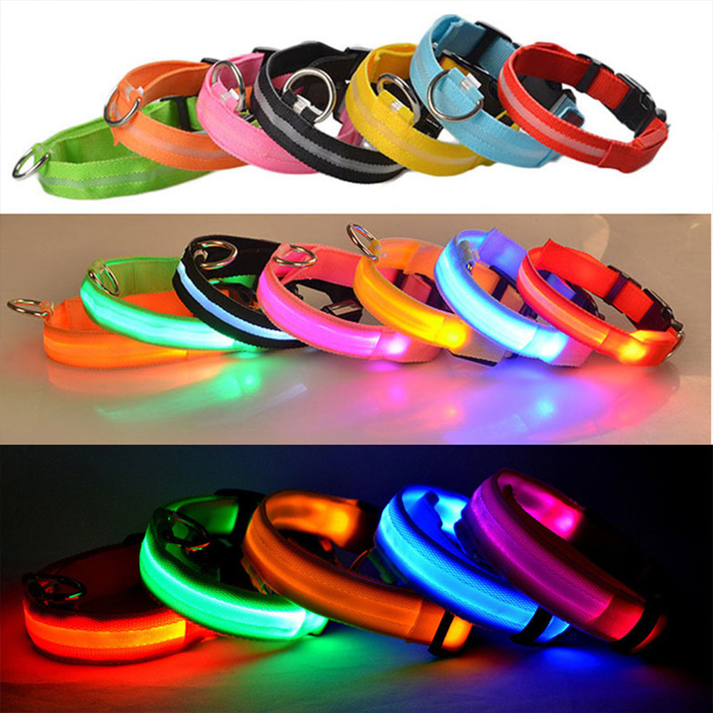 Light Up Dog Collars-LED Dog Collar Rechargeable Lighted Dog Collar Waterproof Night Walking Glow Collar for Dogs (S， Green)