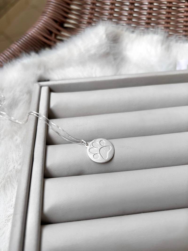 Colar Pingt. Medalha C/ Patinha