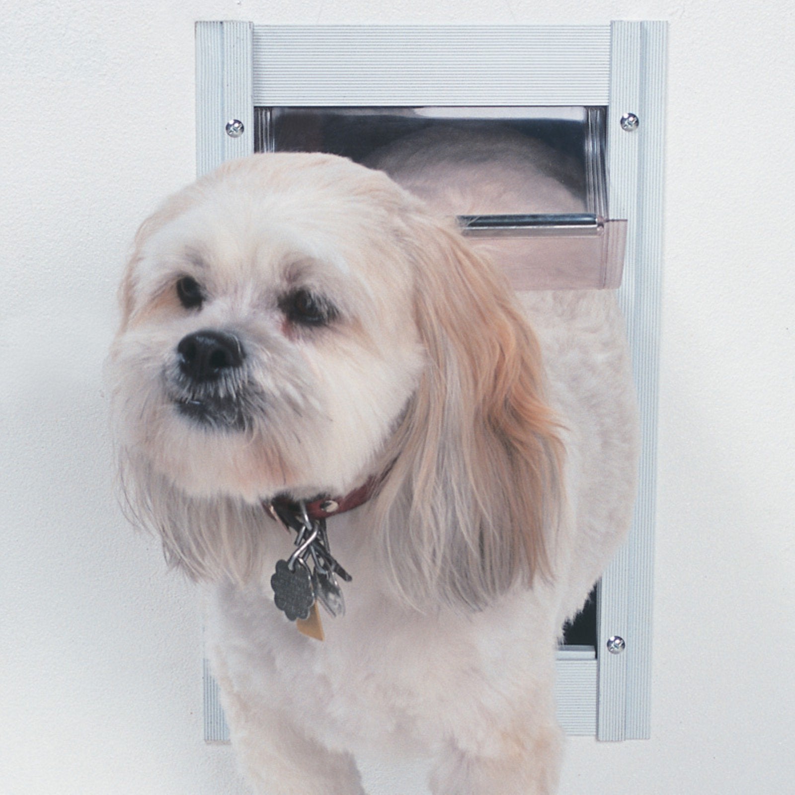 Ideal Pet 15 In. x 20 In. Super Large Aluminum White Pet Door