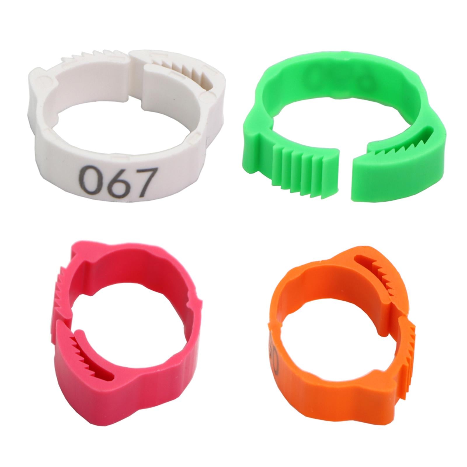 100PCS Colorful Poultry Leg Bands，Identification Finch Small Home Chicken Foot s，for ，Dove，Chicks，Bantam，Quail，Lovebirds - Rose Red， 2.8x2.6cm